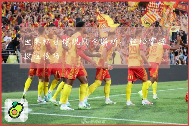 世界杯让球规则全解析，轻松掌握投注技巧