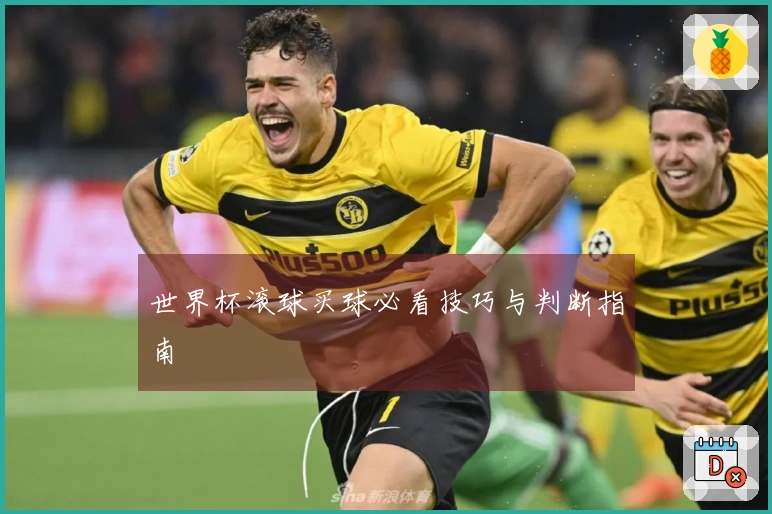 世界杯滚球买球必看技巧与判断指南