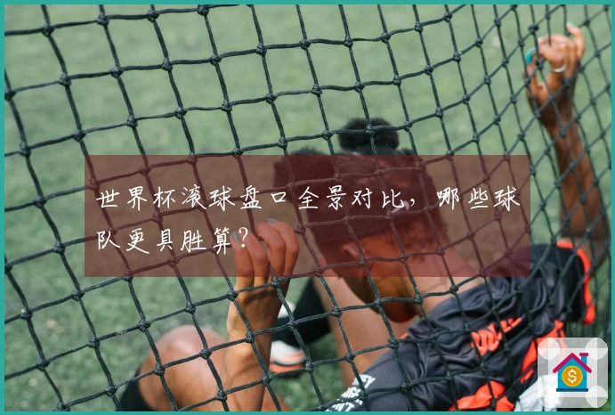 世界杯滚球盘口全景对比，哪些球队更具胜算？