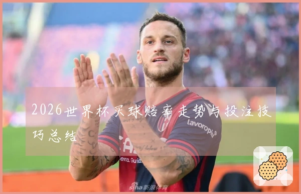 2026世界杯买球赔率走势与投注技巧总结