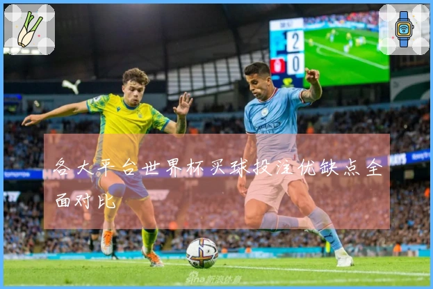 各大平台世界杯买球投注优缺点全面对比
